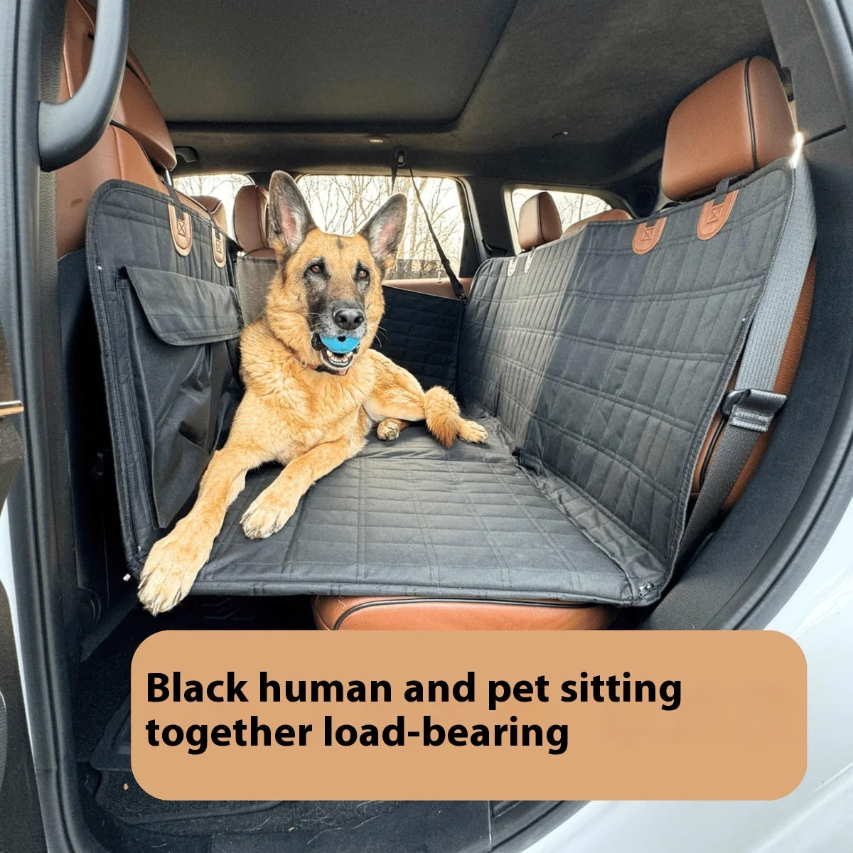 Pet pad Car dog bed